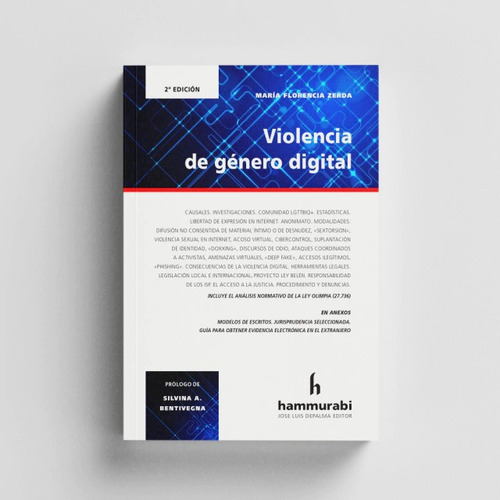 Violencia De Género Digital 2da Edición - Zerda, De Zerda. Editorial Hammurabi, Tapa Blanda, Edición 2da En Español, 2024