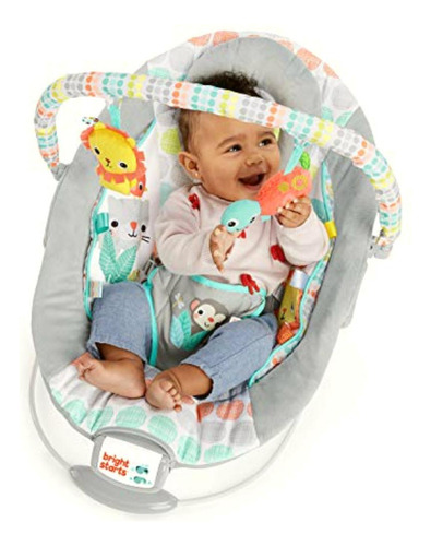 Bright Starts Comfy Baby Bouncer Soothing Vibrations Infant