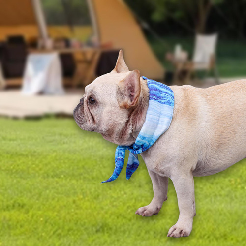 Bandana Refrescante Para Perros Para Verano Caluroso, Cómoda