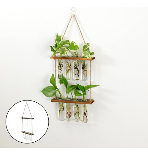 2 Maceta De Cristal Transparente Para Colgar En La Pared,