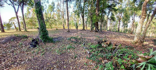 Imagem 9 de 12 de Mairiporã Sp Terreno 265 M² Doc Ok Aceita Veículos