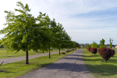 Lote En Venta Luján Barrio Los Juncos