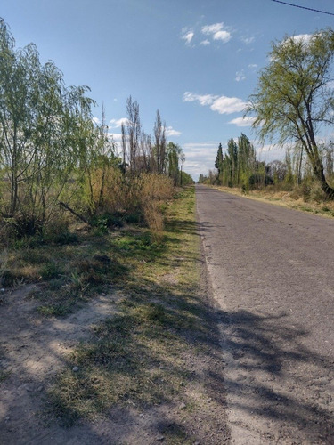 Imagen 13 de 13 de Vendo Finca 5.5 Hectareas A Tranquera Cerrada