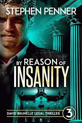 Book : By Reason Of Insanity David Brunelle Legal Thriller.