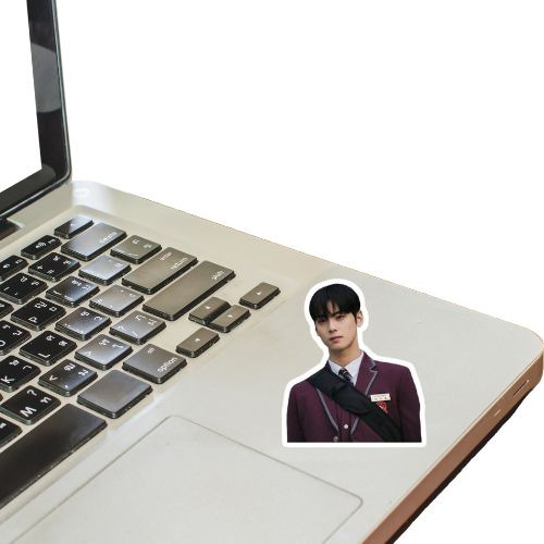 Cha Eun Woo 50 Stickers Astro Stickers Cha Eun Woo Stickers