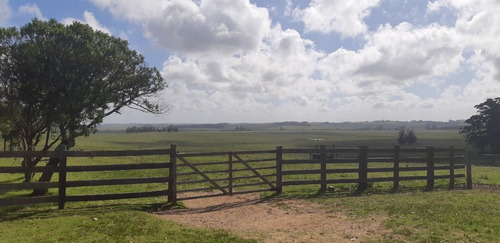 Imagen 1 de 9 de Campo En Venta En Rocha