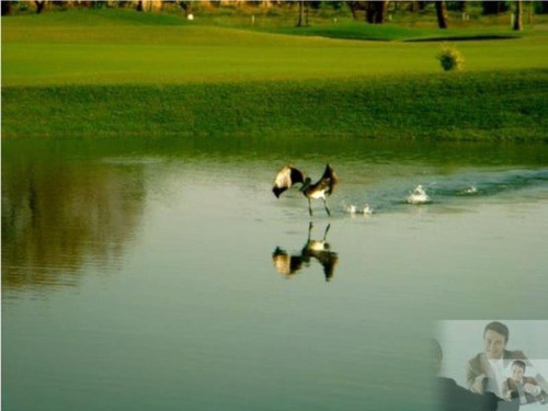 Imagen 7 de 9 de Terreno Dentro Del Exclusivo Paraiso Country Club