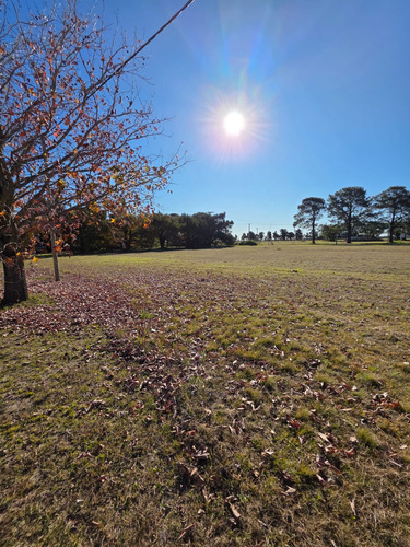 Terreno En Venta En Country Los Molinos