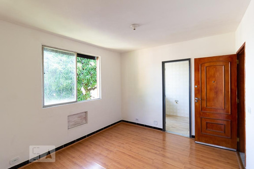 Apartamento Para Aluguel - Quintino Bocaiúva, 1 Quarto, 50 - 893308037