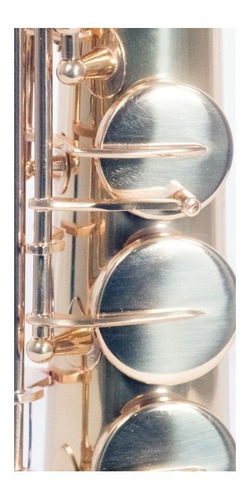 Saxofon Wesner Soprano Tonalidad En Si Bemol Mod. Sss1000-g