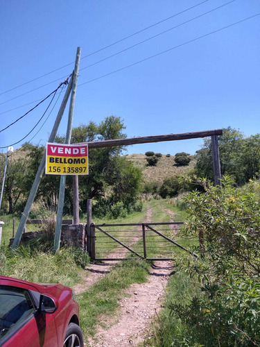 Imagen 6 de 6 de Excelentes Terrenos En Venta En Camino Del Cuadrado - Con Luz Y Agua!!!