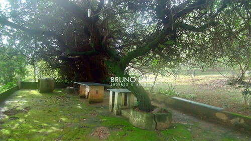 Imagem 11 de 24 de Sítio À Venda Em Igarapé - Si0083