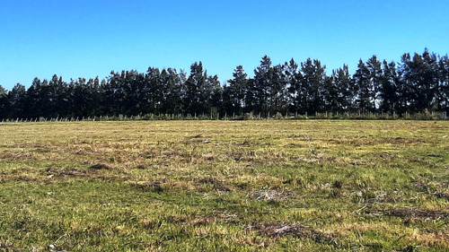 Imagen 13 de 18 de Hermosas Chacras Campos De 3 Hectareas En Tala