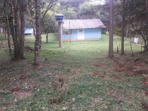 Chácara A Venda No Bairro Centro Em Bocaiúva Do Sul - Pr. - 369-1