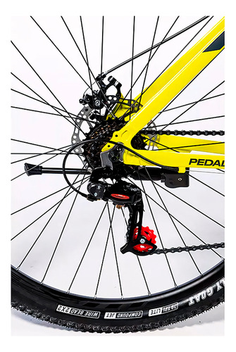 Mountain Bike Gravity R29 M21 Talle S/m/l Amarillo/gris Color Amarillo/gris Talle L Tamaño Del Cuadro L