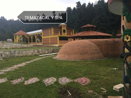 Imagen 10 de 11 de Terreno En Venta Espectacular Bosque Para Su Cabaña!