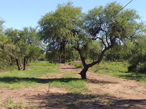 Lotes De 1400 M2 Posible Financiación!!