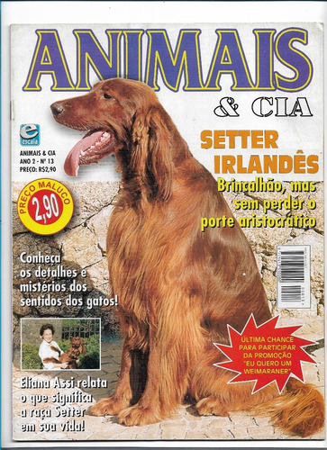 Animais E Cia Revista N 13 Setter Irlandês Pet Gatos (Usado)