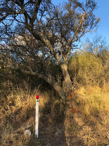 Imagen 3 de 16 de Lotes De 1000 M2 Camino A San Javier - Posesion / Las Tapias - Traslasierra