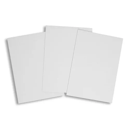 Canson Inkjet Papel Fotográfico 10x15 cm 260 g/m2 x 100 hojas - GottiClub