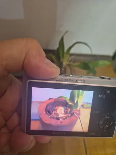 Sony Câmera Digital Cyber-shot Dsc-t20 Vintage | MercadoLivre
