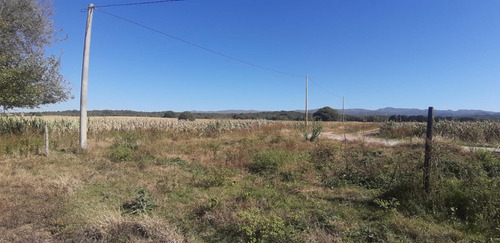 Imagen 1 de 9 de Campo 7ha - Apto Loteo - Con Escritura - Alta Gracia