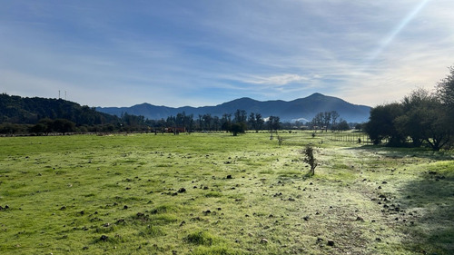 Venta De Terrenos En Pintué Aculeo