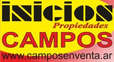 Sc527 Campos En Pehuajo, Prov De Bs As