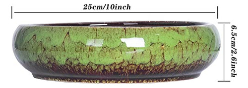 Maceta Para Suculentas Artketty, Maceta Grande De 10 Pulgada