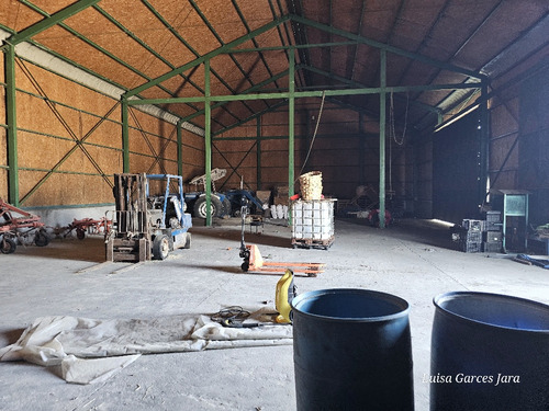 Bodega Con Oficinas Y Patio Pavimentado En Cabrero