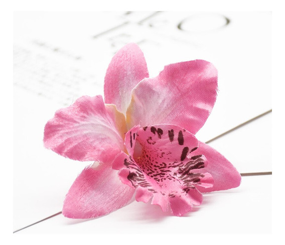 Plantas Y Flores Baratas Con Orquideas Jalisco Guadalajara | MercadoLibre ???? Plantas Y Flores Baratas Con Orquideas Jalisco Guadalajara | MercadoLibre ????