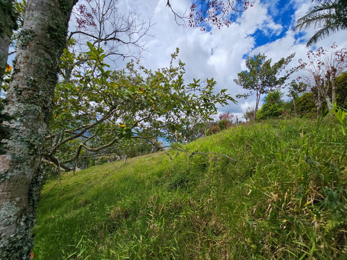 Venta De Lote En Girardota Vereda Manga Arriba Parte Alta