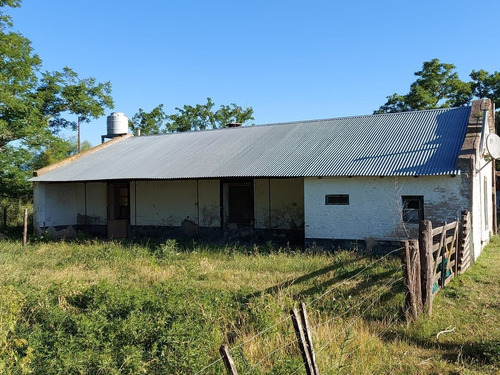 Imagen 6 de 17 de Campo En Venta En Pta Indio