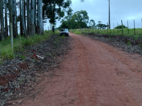Imagem 13 de 16 de Sítio Com 3.8 Alqueires Com Casa Simples Terra Vermelha 5 Km Do Asfalto Água Corrente No Fundo Do Sítio, Oportunidade... Custo Benefício... Valor : 295 Mil Município De Itapetini - Ch00089 - 695779
