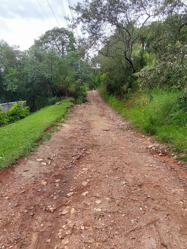 Imagem 13 de 15 de Lote / Terreno Em Itapetinga - Atibaia - 11569