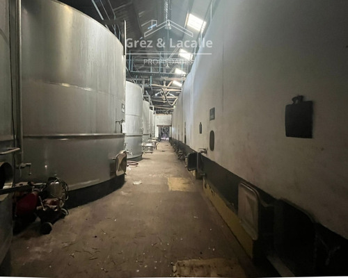 Se Arrienda Bodega De 5.200 Mts2 Molina