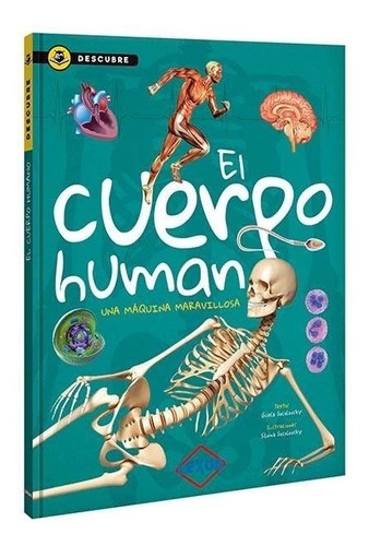 El Cuerpo Humano - Descubre - Lexus