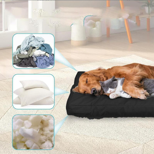 Funda Protectora Para Mascotas Y Gatos, Lavable En L, Color