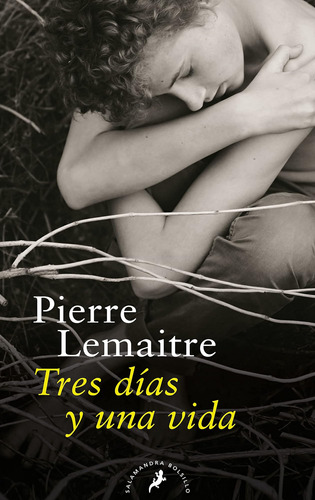Libro Tres Días Y Una Vida - Pierre Lemaître
