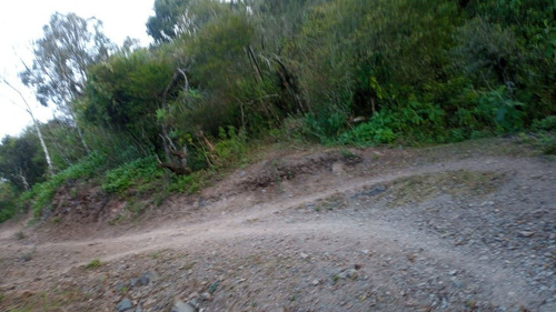 Imagen 6 de 6 de Terreno En Venta En Raco