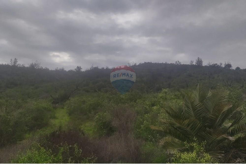 Terreno De 7,104 M2 En Oasis De La Campana