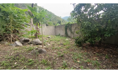 Se Vende Terreno En La Arboleda. Ve22-091arb-yceg