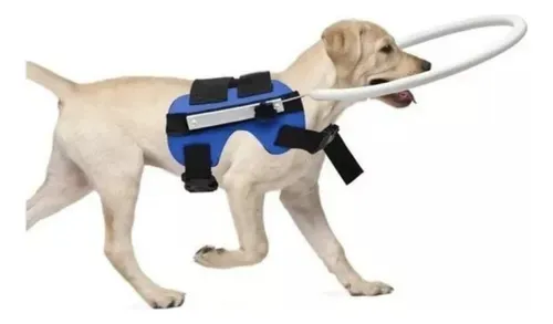 Para Anillo Anticolisión 2024 Para Perros Ciegos, Anillo De