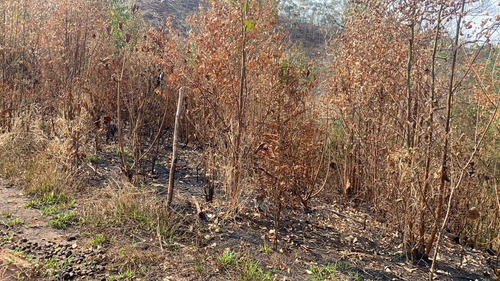 Imagem 6 de 14 de 34ei Terreno Igaratá Com Entrada Apenas De $ 5 Mil