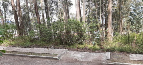 Bonito Lote Sector Conocoto - En Urbanización Cerrada - Vista