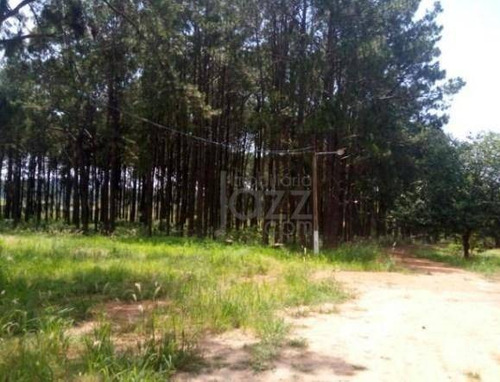 Sitio Antigo Haras - Ch0051