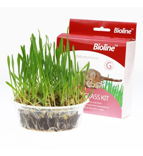 Juguete Gato Cat Grass Hierba Gatera Catnip Pasto Bioline Cs