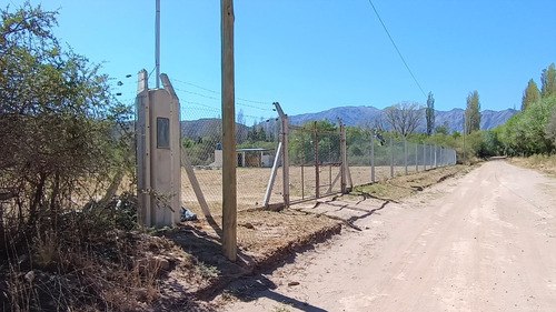 Terreno De 2500m2 (1/4 Ha) En Nogolí, San Luis, Con Luz Y Agua