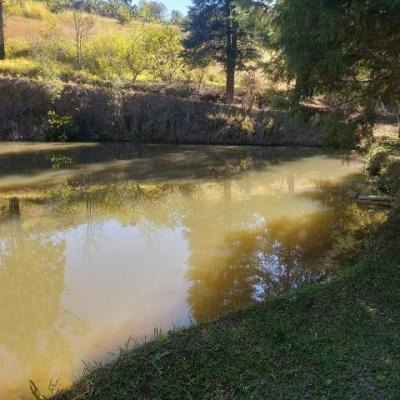 Imagem 5 de 14 de Chácara 400m2 Área Construída