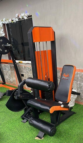 Fabricamos Maquinas Para Gimnasios, Discos, Mancuernas, Piso